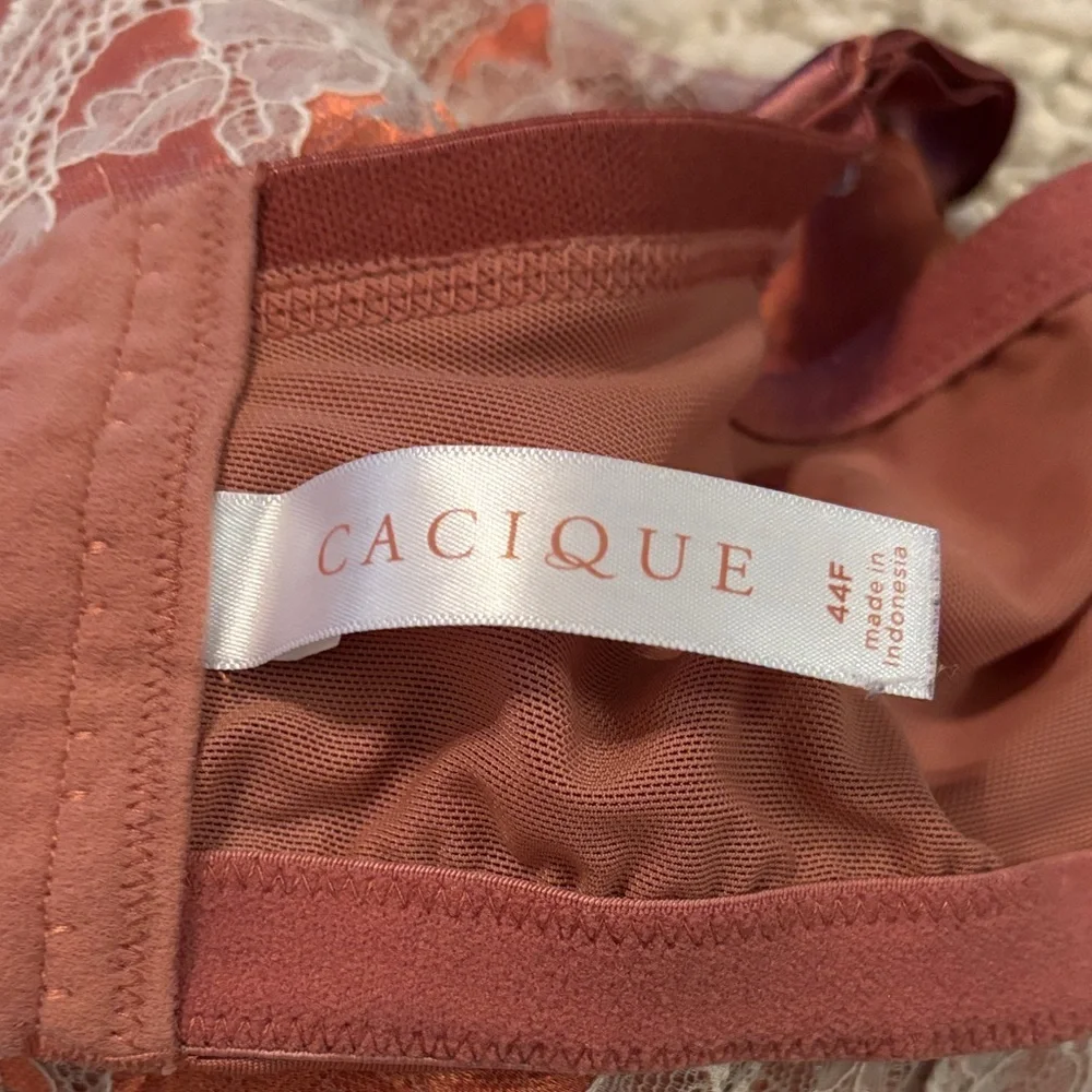 Cacique Satin Lace Bra in Rust and Cream